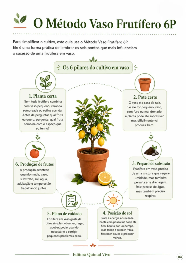 Ebook-1-Guia-da-Frutífera-do-Vaso-_1_