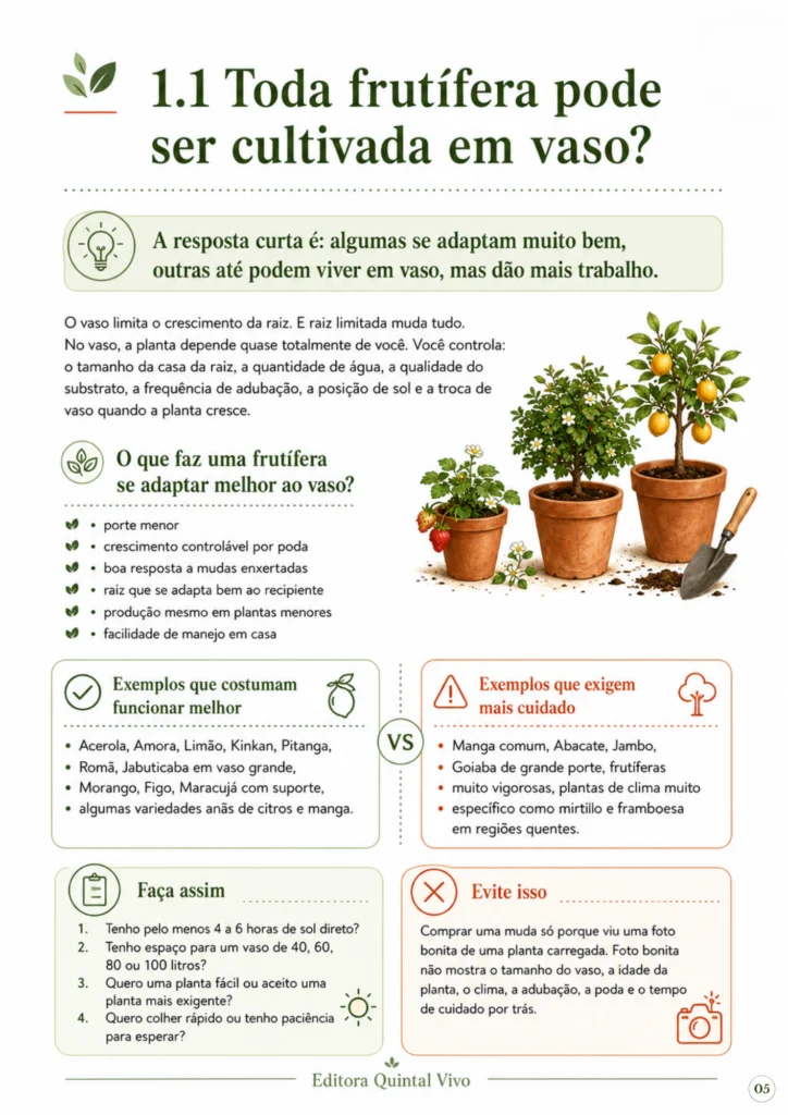 Ebook-1-Guia-da-Frutífera-do-Vaso-_3_