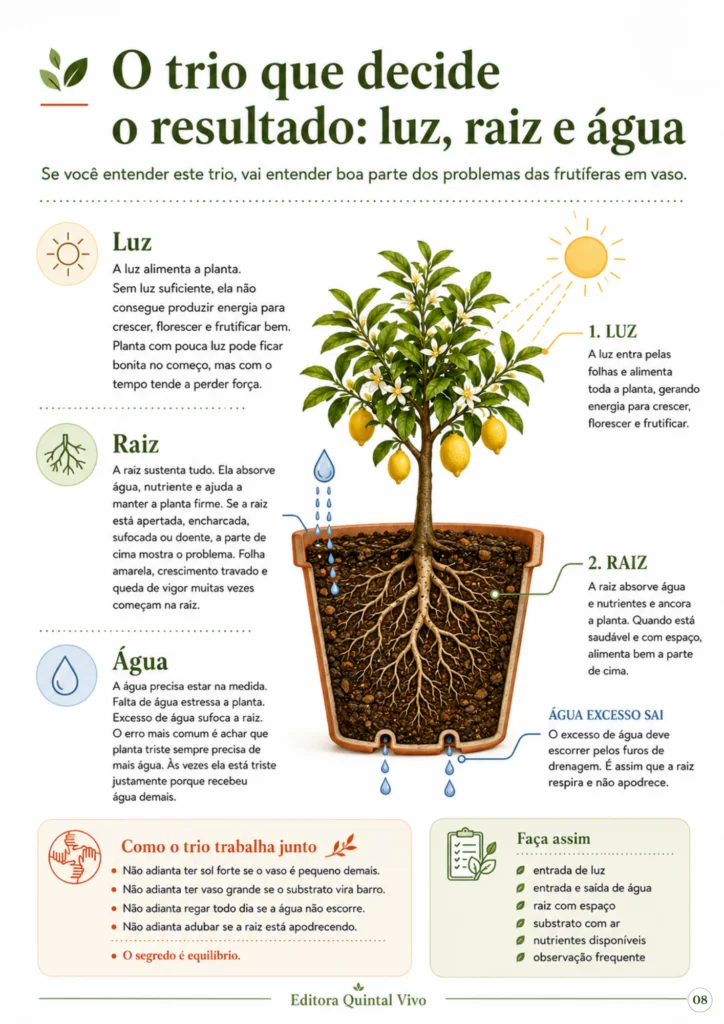 Ebook-1-Guia-da-Frutífera-do-Vaso-_4_